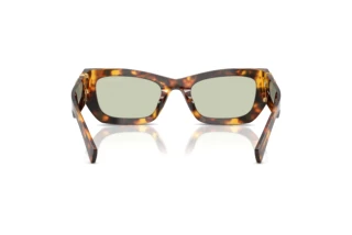 [glasses-back-view] Miu Miu MU 09WS (14L50O)