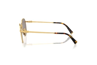 Vedere laterală Miu Miu MU 55ZS (5AK07F)