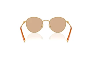 [glasses-back-view] Miu Miu MU 55ZS (5AK40D)