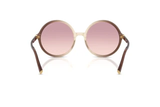 Vedere din spate Miu Miu MU B02S (25G40S)