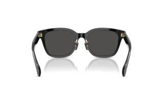 [glasses-back-view] Moncler METROPE (ME6002D - 300187)