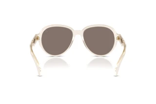 [glasses-back-view] Moncler SWANSPAN (ME6005 - 30035A)