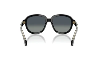 [glasses-back-view] Moncler CIRSEE (ME6007U - 30013C)