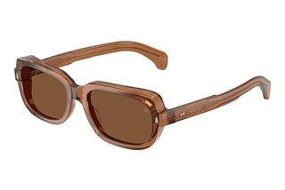 Moncler ME6008 3017/3 Polarized Brown SolidTransparent Shiny Cognac