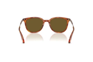 Vedere din spate Moncler KORRA (ME6013 - 300475)