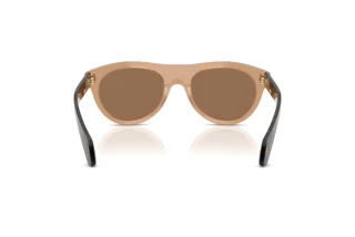 [glasses-back-view] Moncler SPLASH (ME6022U - 303773)