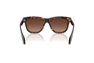 [glasses-back-view] Moncler BRONZZ (ME6023 - 3002T5)