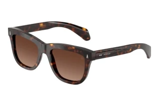 [glasses-front-view] Moncler BRONZZ (ME6023 - 3002T5)