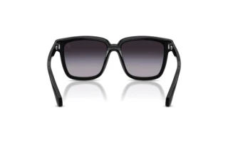 Vy bakifrån Moncler CLASICO (ME6026 - 30018G)