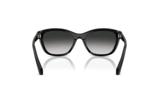Takaa Moncler ME6031U (30013C)