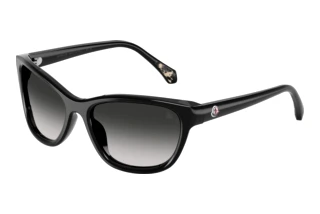 Edestä katsottuna Moncler ME6031U (30013C)