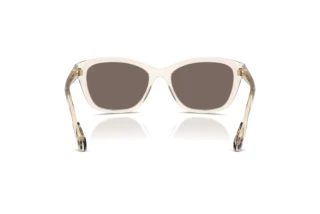 Takaa Moncler ME6031U (30032C)