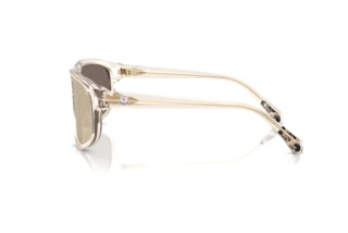 [glasses-side-view] Moncler ICEBORNE (ME6033U - 30032C)
