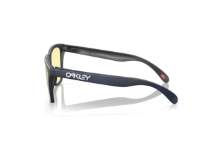[glasses-side-view] Oakley FROGSKINS (OO9013 - 9013L4)