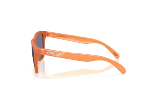 Vedere laterală Oakley FROGSKINS (OO9013 - 9013M1)