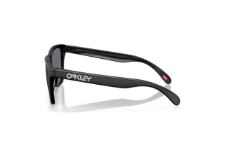 [glasses-side-view] Oakley FROGSKINS (OO9013 - 9013M7)