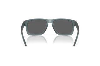 Vista posterior Oakley HOLBROOK (OO9102 - 9102Z4)
