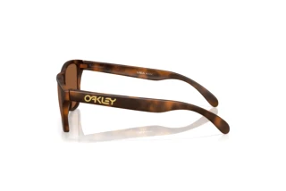 Vista lateral Oakley FROGSKINS S (OO9508 - 950803)