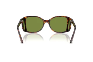 [glasses-back-view] Persol PO0005 (24/4E)