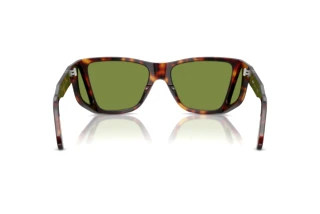 Vista posterior Persol PO0009 (24/4E)