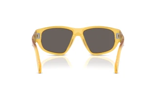 [glasses-back-view] Persol PO0050S (204/B1)