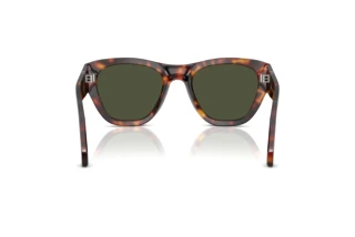 [glasses-back-view] Persol PO0054S (24/31)
