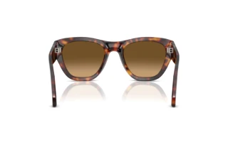 Vista posterior Persol PO0054S (24/M2)