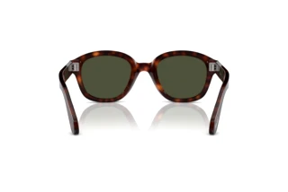 Vista posterior Persol PO0060S (24/31)