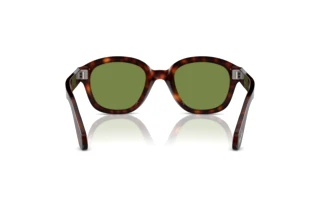 [glasses-back-view] Persol PO0060S (24/4E)