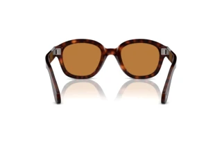 Vista posterior Persol PO0060S (24/53)