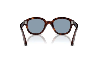 Vy bakifrån Persol PO0060S (24/56)