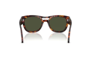 [glasses-back-view] Persol PO0064S (24/31)