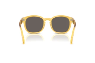 Vista posterior Persol PO0082S (204/B1)