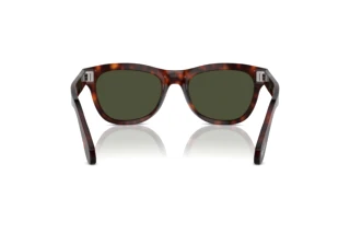 [glasses-back-view] Persol PO0086S (24/31)