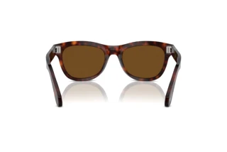 Vista posterior Persol PO0086S (24/57)