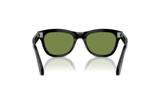 [glasses-back-view] Persol PO0086S (95/4E)