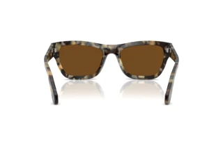 Vista posterior Persol PO0091S (107157)
