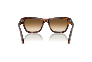 Vista posterior Persol PO0091S (24/51)