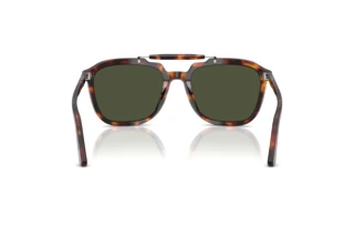 Vista posterior Persol PO0203S (24/31)