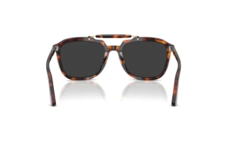 Vista posterior Persol PO0203S (24/48)