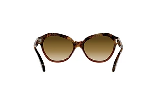 [glasses-back-view] Persol PO0582S (112151)