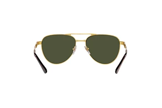 Vy bakifrån Persol PO1003S (515/31)