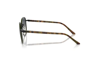 Vue latérale Persol PO1015SJ (112871)