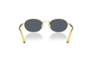 Vista posterior Persol IDA (PO1018S - 1129R5)