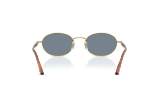 Vista posterior Persol IDA (PO1018S - 113256)