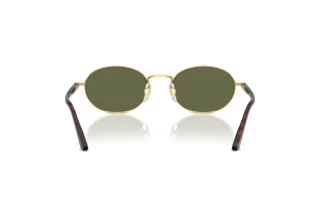 Vista posterior Persol IDA (PO1018S - 515/58)