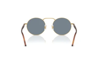 Vista posterior Persol PO1019S (113256)