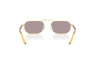 Vista posterior Persol PO1020S (112953)
