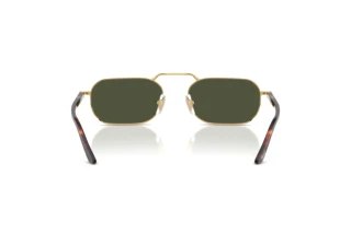Vista posterior Persol PO1020S (515/31)
