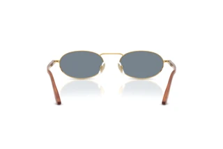 Vista posterior Persol PO1023S (113256)